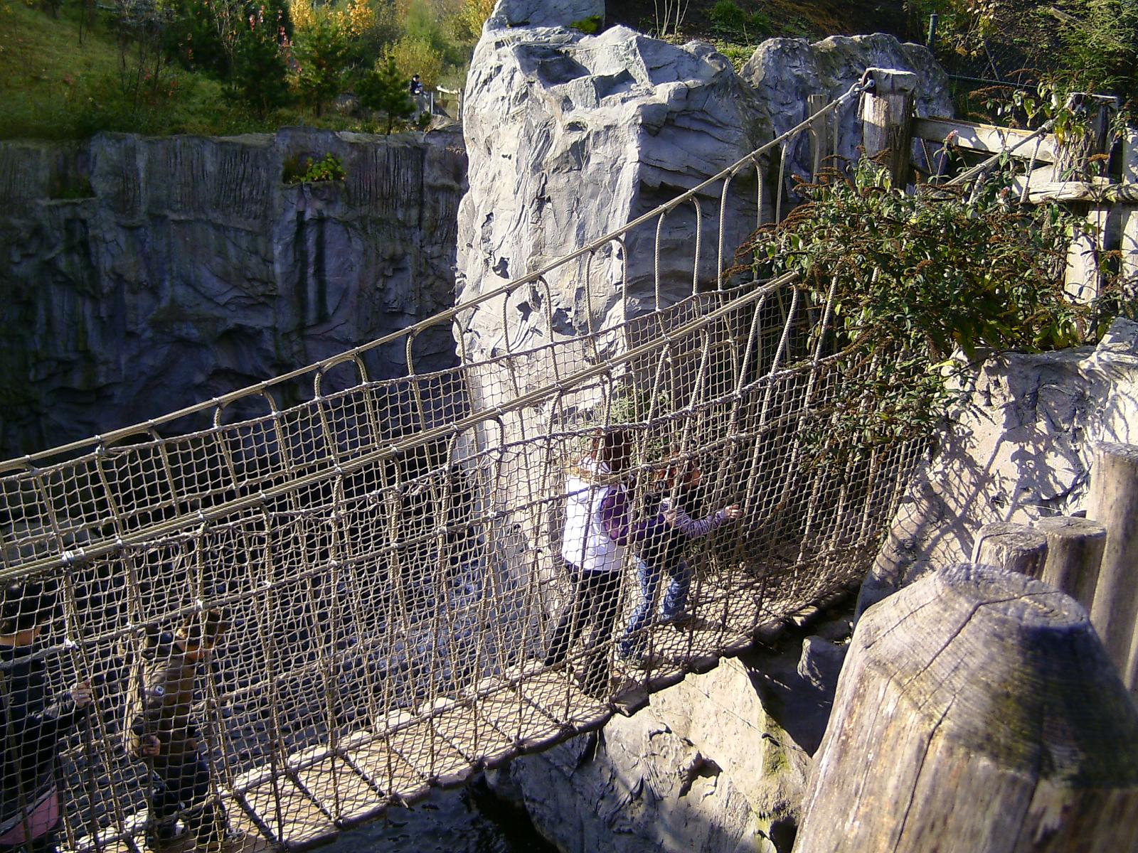 Zoom 18.10.08-037.jpg
